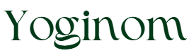 yoginom.shop